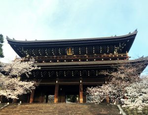 知恩院の夜間特別拝観 祇園 御宿 菊渓 Kikutani